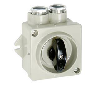 On-Off switch, 2-pole